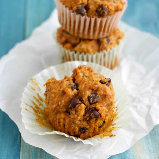 Pumpkin Pecan Chocolate Muffins