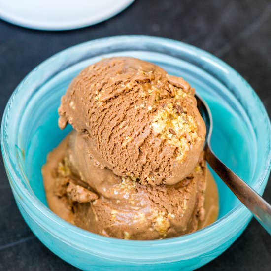 Coconut Milk Chocolate Ice Cream