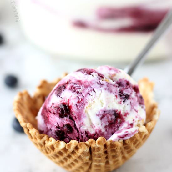 Blueberry Cheesecake Ice Cream