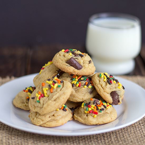 Chocolate Chip Pudding Cookies