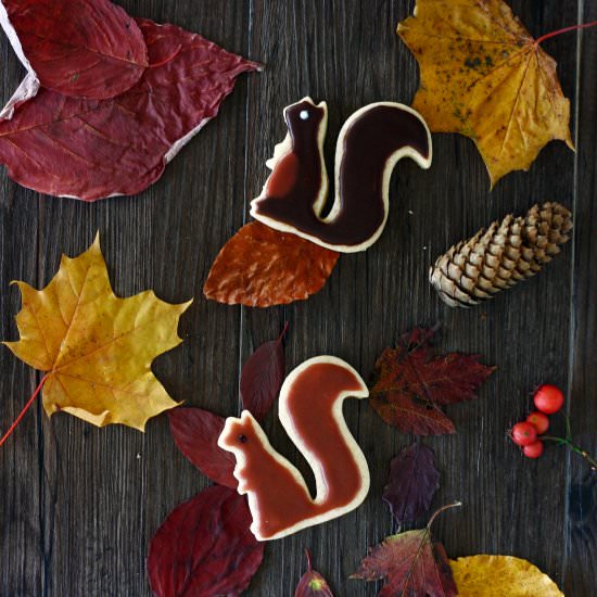 Squirrel Cookies