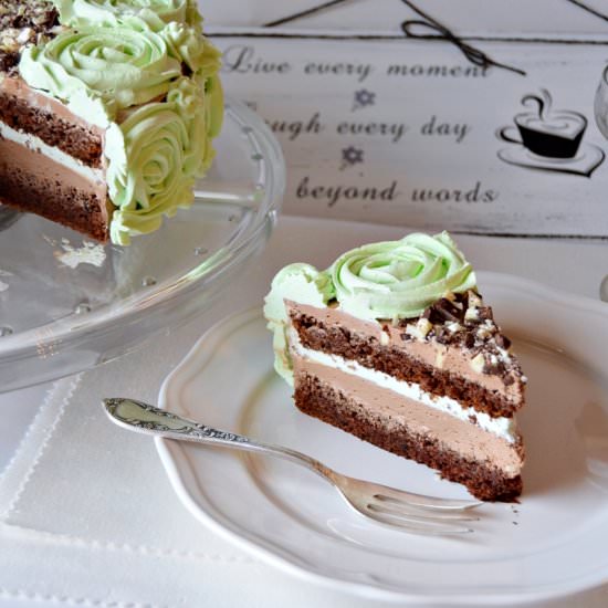 Chocolate cake with mint