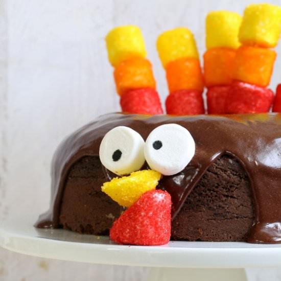 turkey chocolate cake