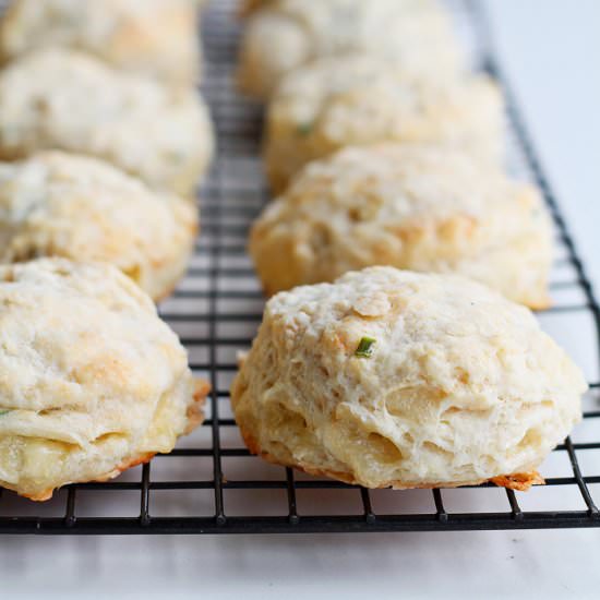 Brie Biscuits