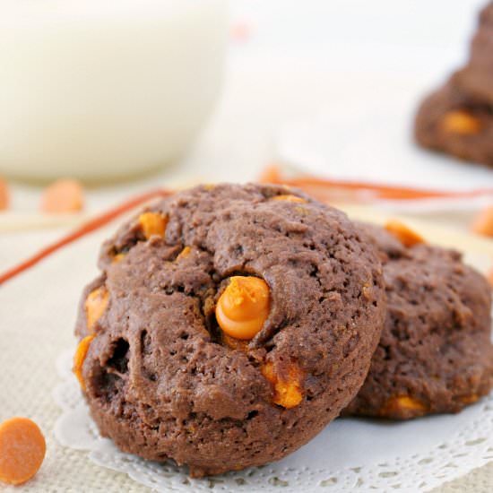 Chocolate Pumpkin Chip Cookies