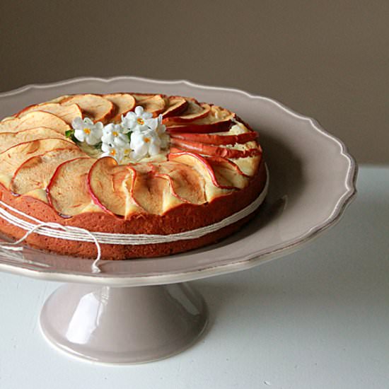 Lemon Yogurt Apple Cake