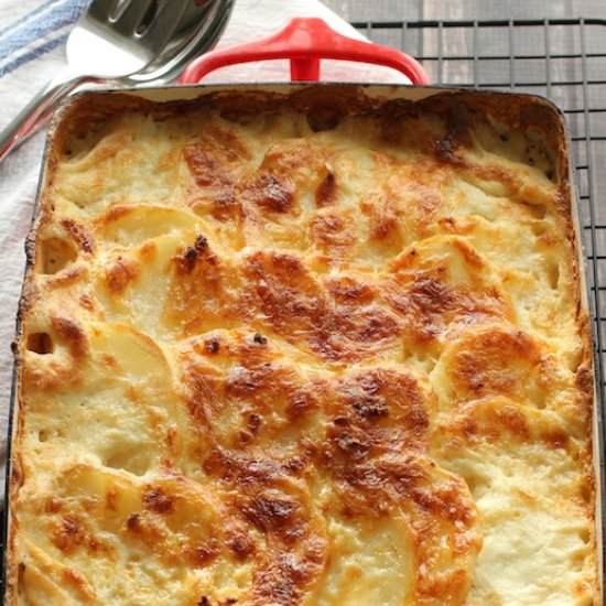 Potato Gratin