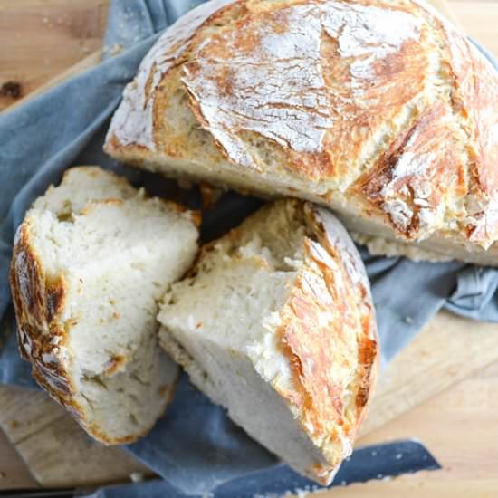 Beginner No Knead Dutch Oven Bread
