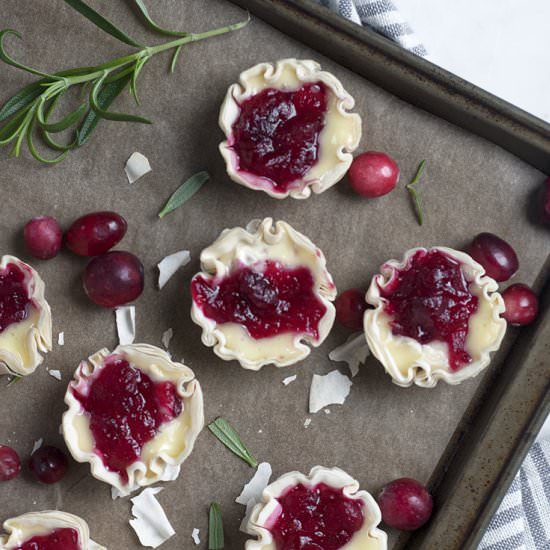 Cranberry Brie Tartlets