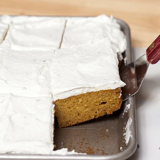 Pumpkin Sheet Cake