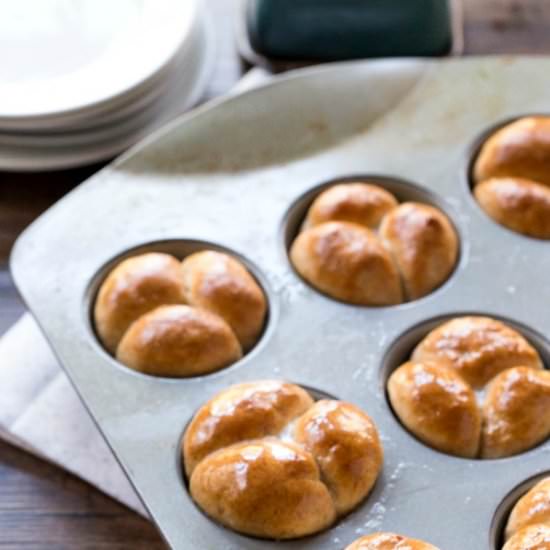 60 Minute Whole Wheat Dinner Rolls