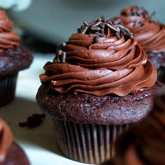 Ultimate Chocolate Cupcakes