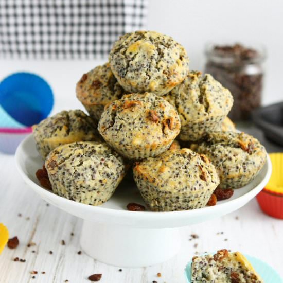 Black Quinoa Spelt Muffins
