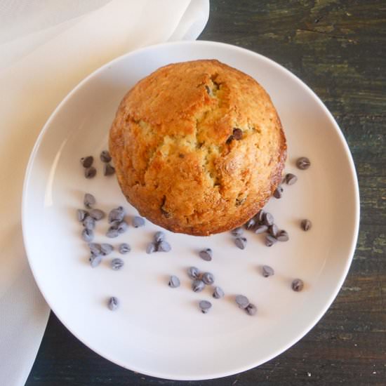 Blueberry Chocoalte Chip Muffins
