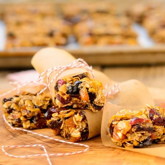 German Fruit and Nut Bars