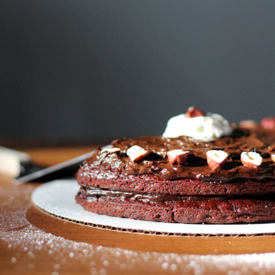 Vegan Chocolate Cake with Avocado