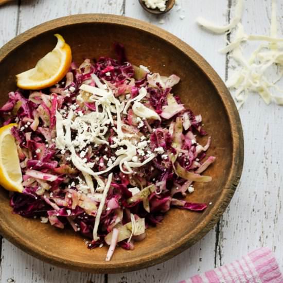 Cancer-Fighting Red Cabbage Slaw