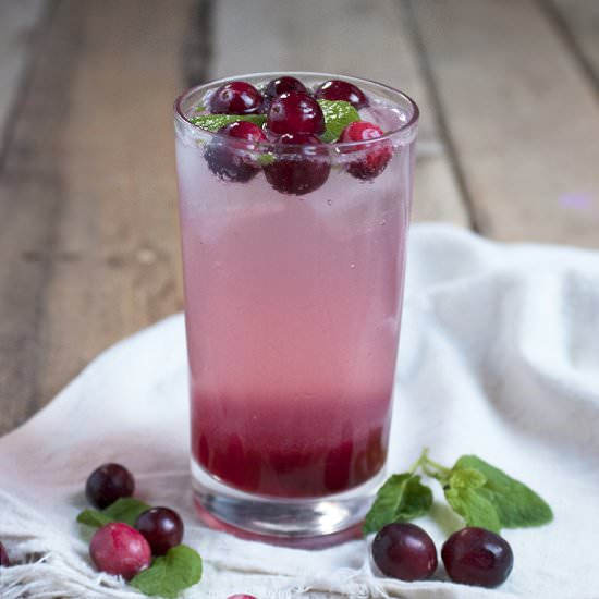 Cranberry Mojito Mocktail