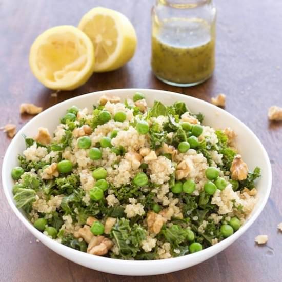 Green healthy salad