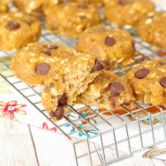 Maple Pumpkin Chocolate Chip Cookie
