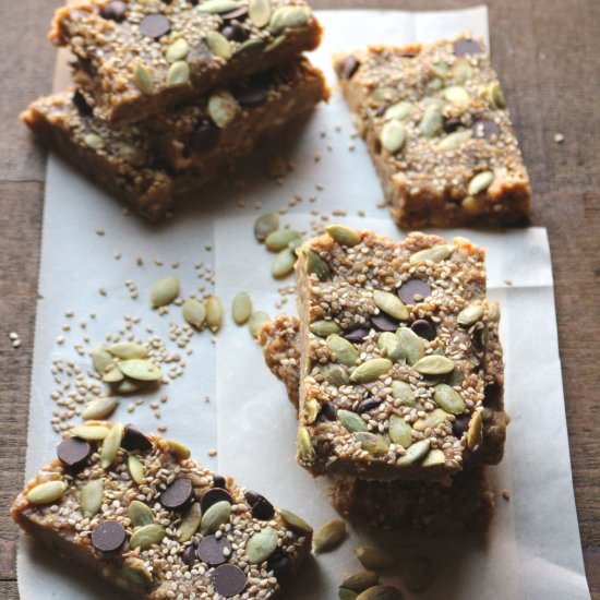 Raw Protein Bars