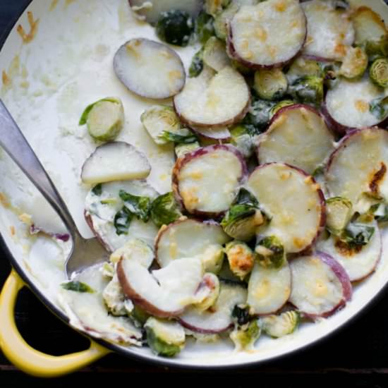 Brussels Sprouts and Potato Gratin
