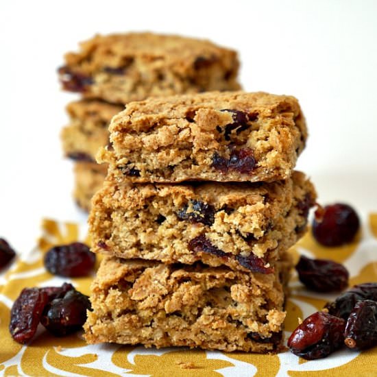 Oatmeal Craisin Bars