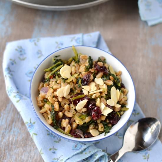 Warm Farro Pilaf with Cranberries