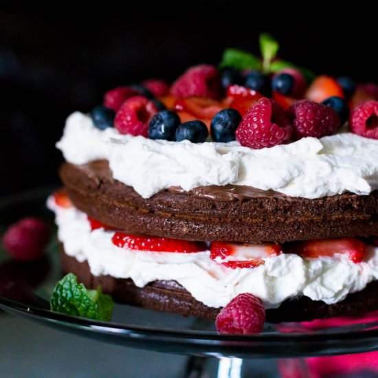 Chocolate Nutella Cake