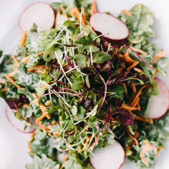 Micro Green + Kale Salad w/ Tahini