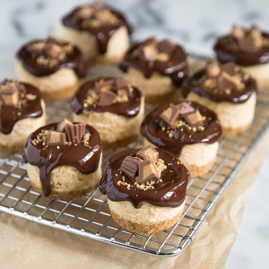 Peanut Butter Pretzel Cheesecakes