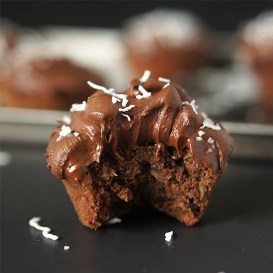 Double Chocolate Chip Brownies