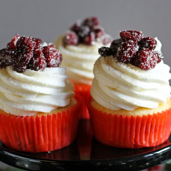 Thanksgiving Cupcakes