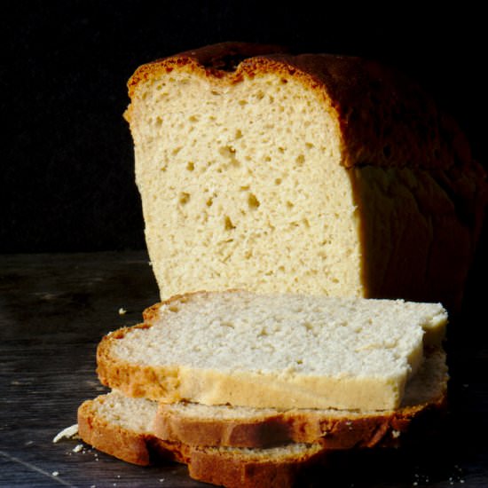 Gluten Free Bread