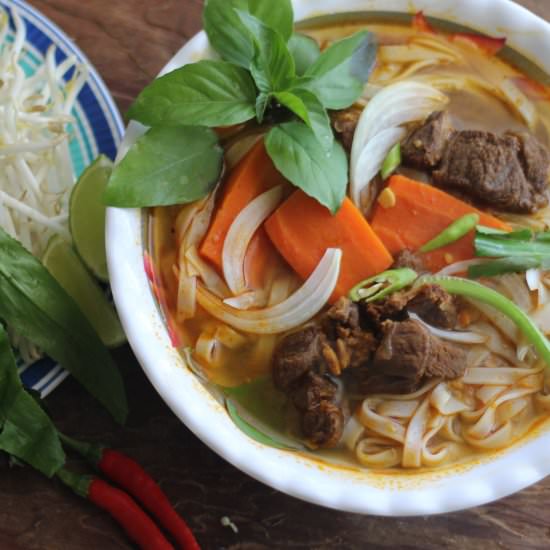 Vietnamese Beef Stew (Bo Kho)