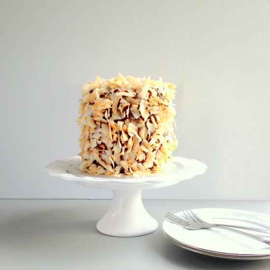Toasted Coconut Chocolate Cake