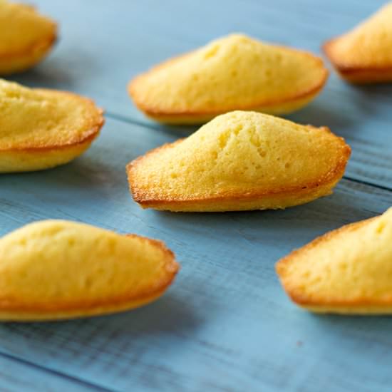 Madeleine recipe