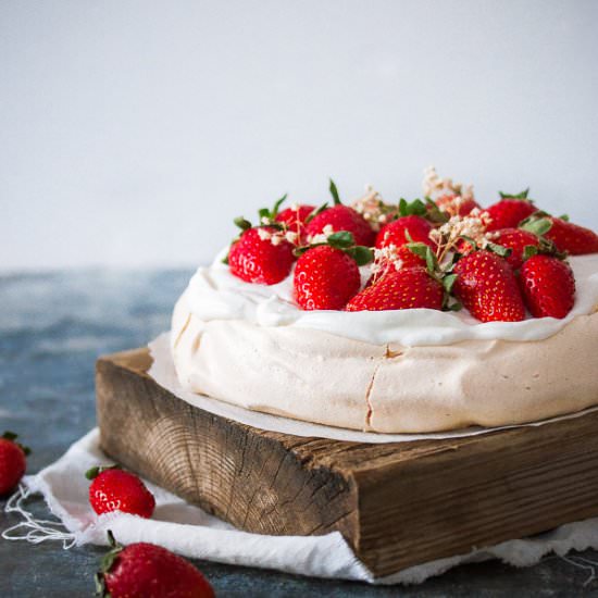 Pavlova