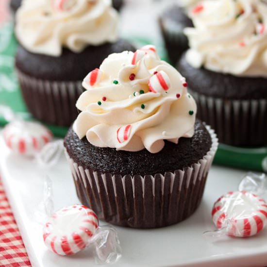 Peppermint Chocolate Cupcakes