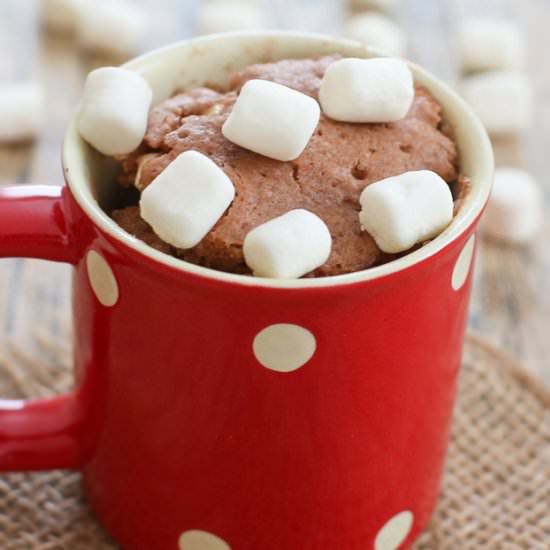 Hot Chocolate Mug Cake