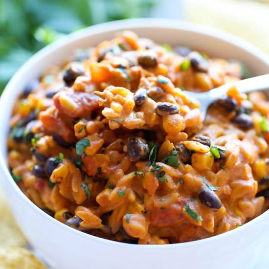 Slow Cooker Enchilada Orzo
