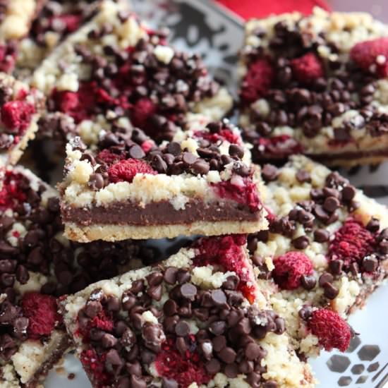 Chocolate Fudge and Raspberry Bars
