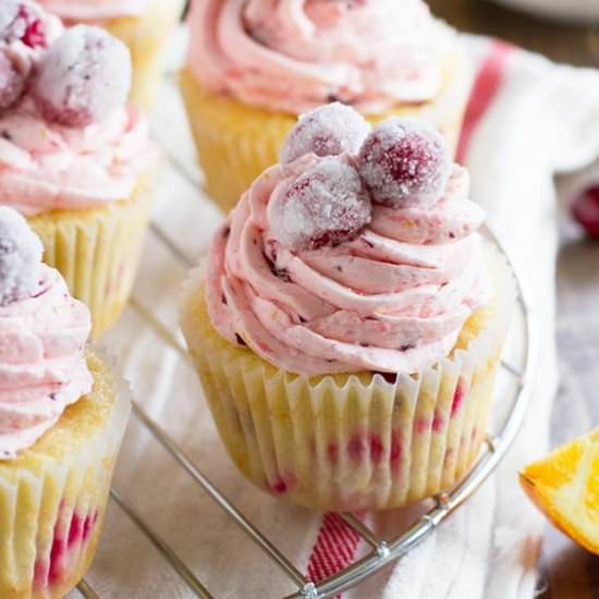 Cranberry Orange Cupcakes