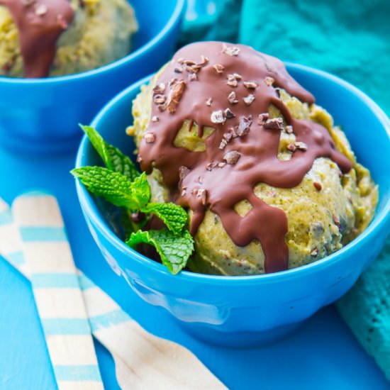 Mint Cacao Chip Nice Cream