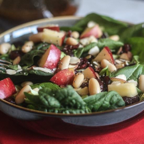 Cranberry Apple Salad Chia Balsamic