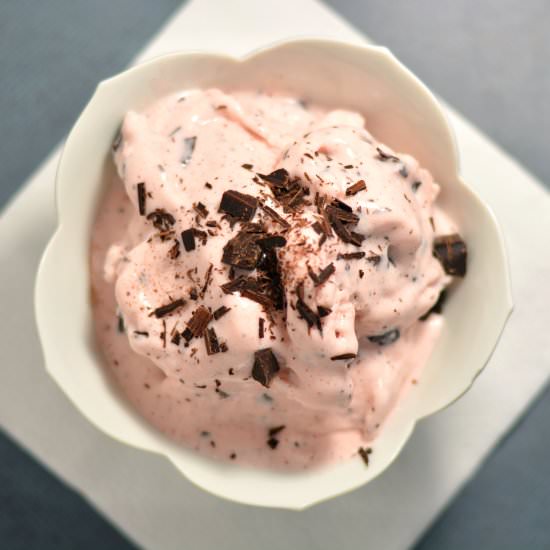 Peppermint Chip Ice Cream
