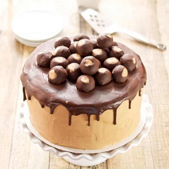 Chocolate Peanut Butter Cake