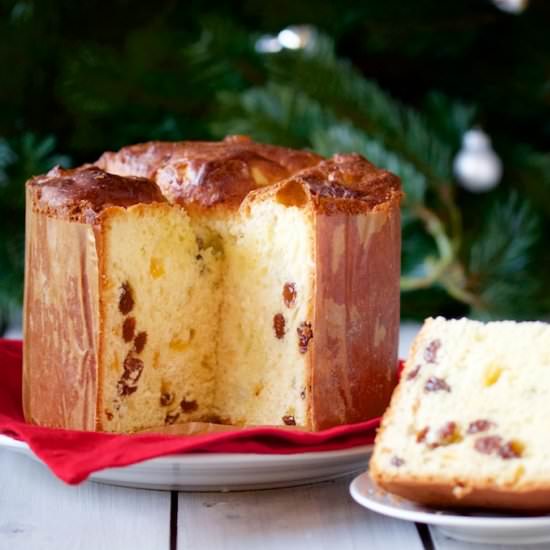 Panettone