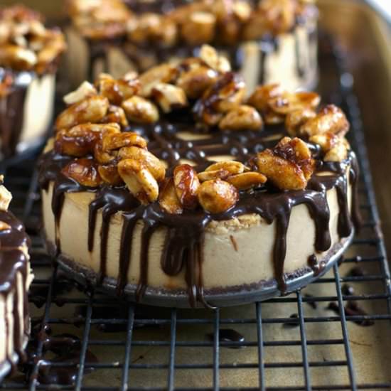 Peanut Butter Cheesecake with Maple