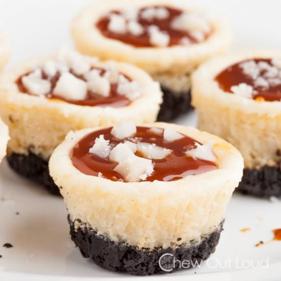 Salted Caramel Cheesecake Bites